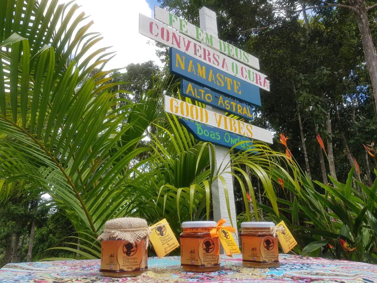 Camping Macacos D'ajuda Acampamento Porto Seguro